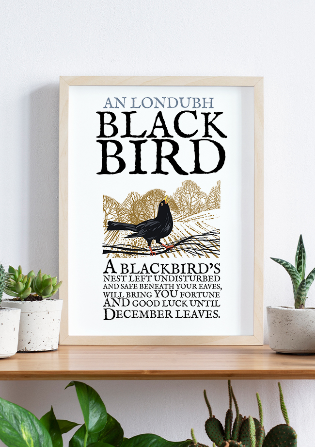 The Blackbird Birds of Ireland Framed