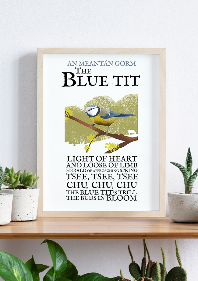 The Blue Tit Birds of Ireland Framed
