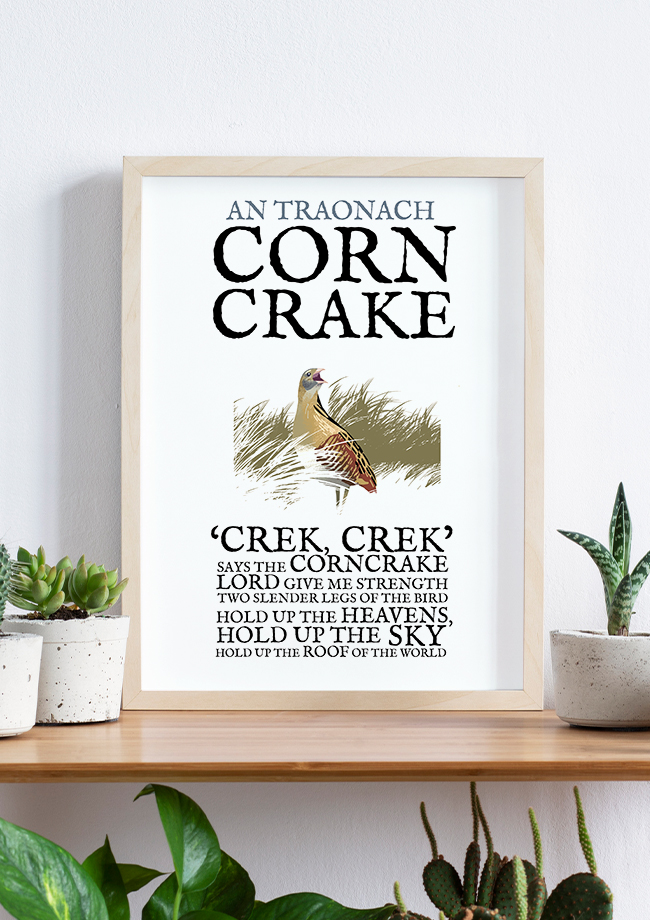 The Corncrake Birds of Ireland Framed