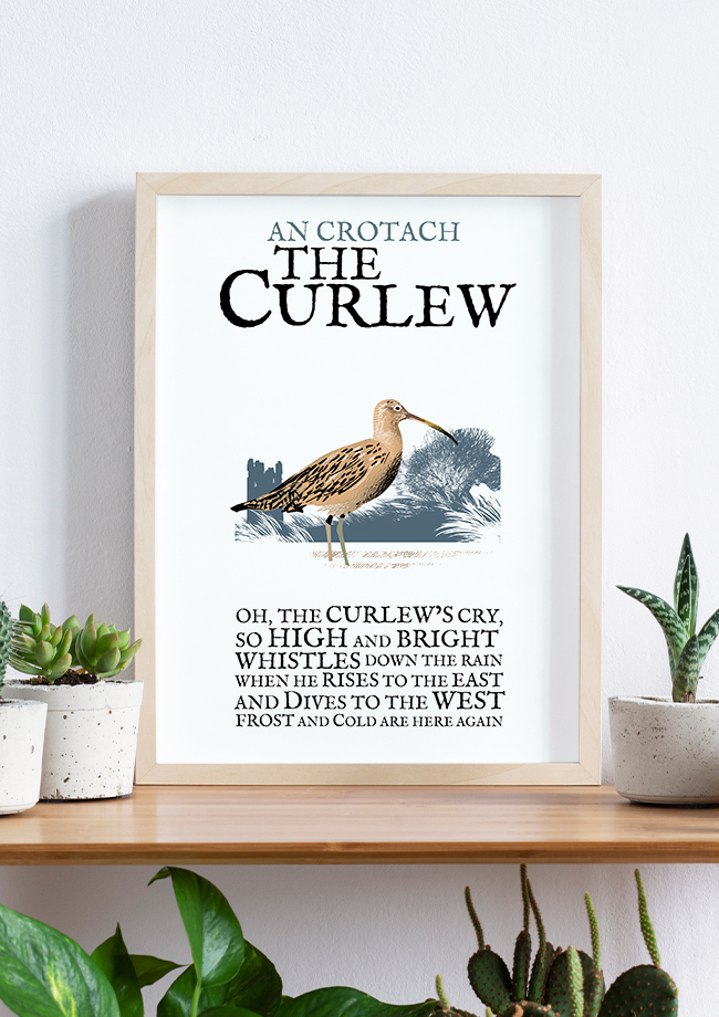 The Curlew Birds of Ireland Framed