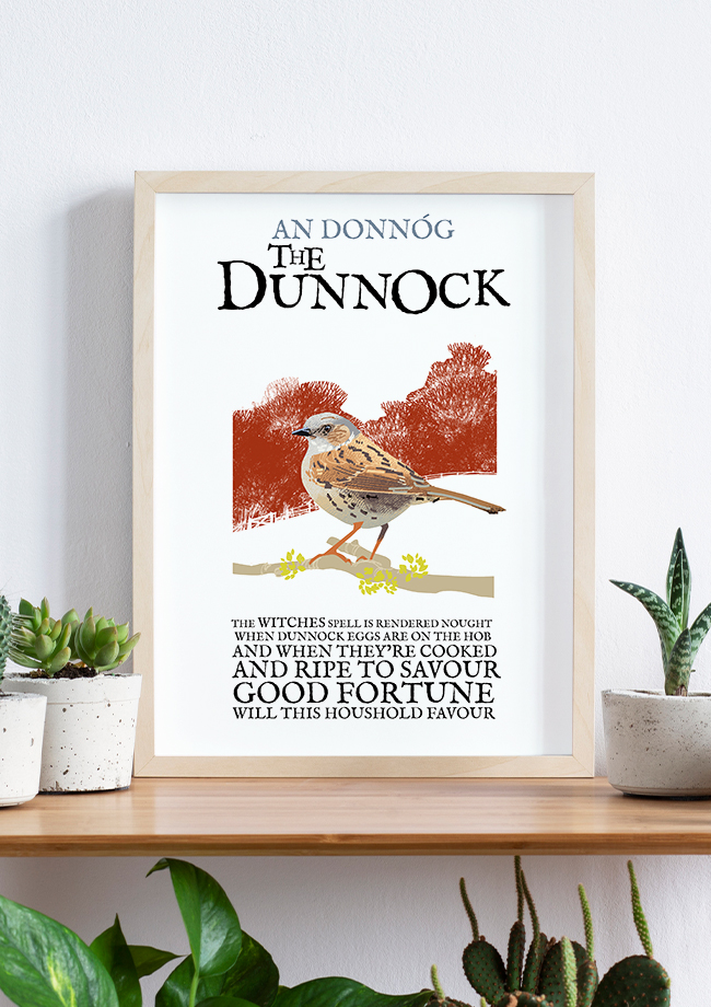 The Dunnock Birds of Ireland Framed