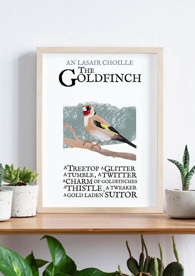 The Goldfinch Birds of Ireland Framed