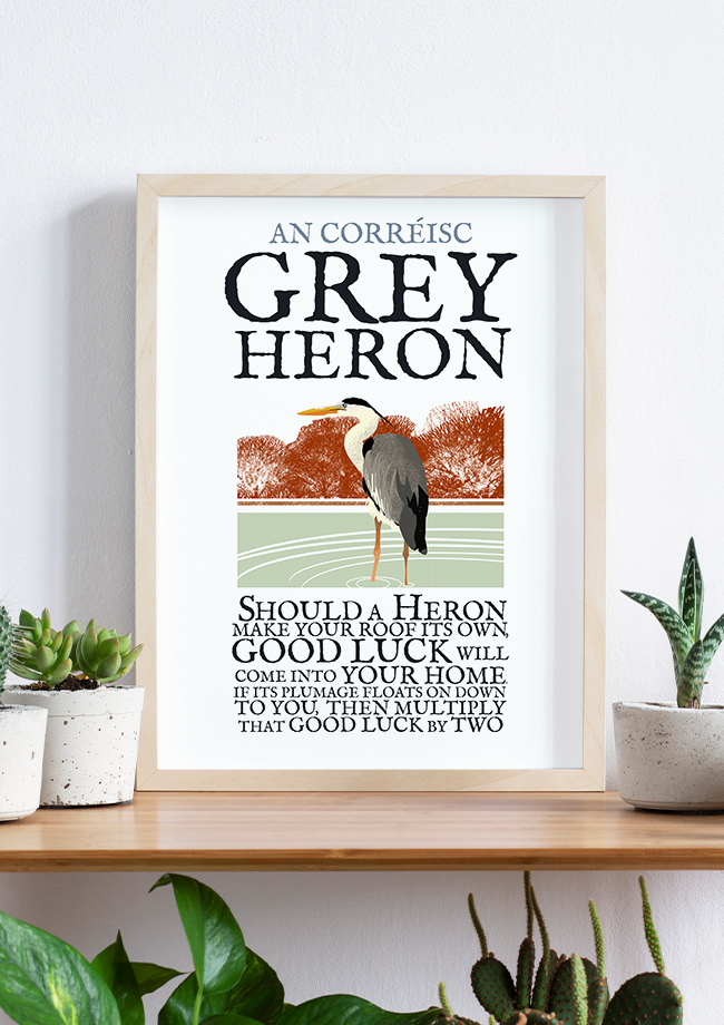 The Grey Heron Birds of Ireland Framed