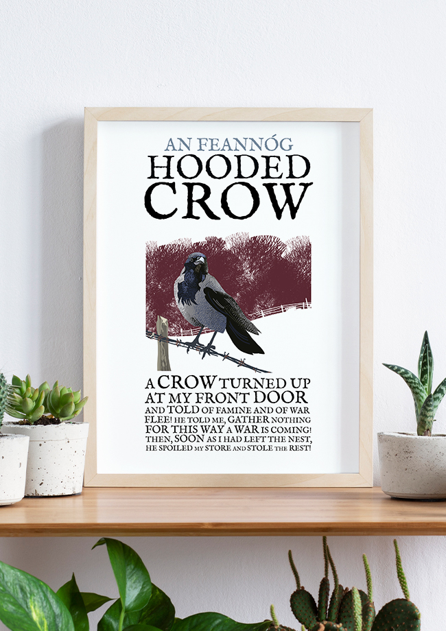 The Hooded Crow Birds of Ireland Framed