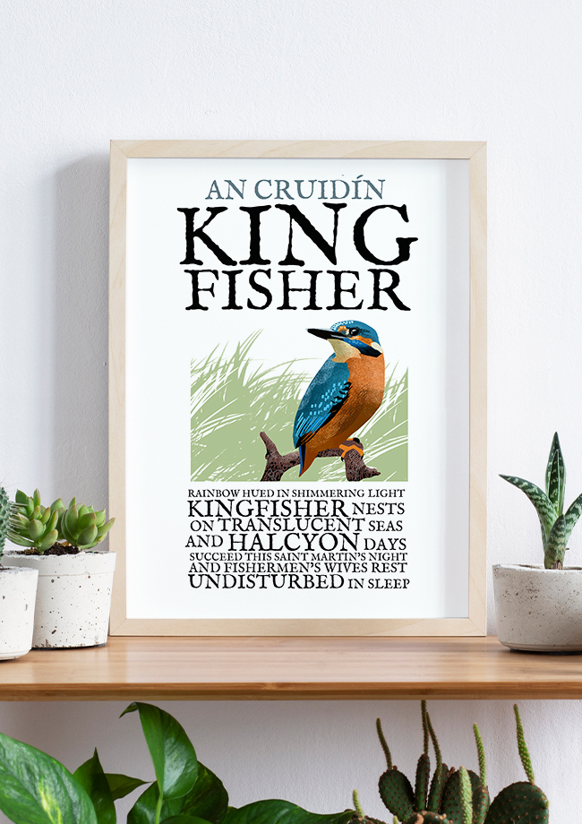 The Kingfisher Birds of Ireland Framed