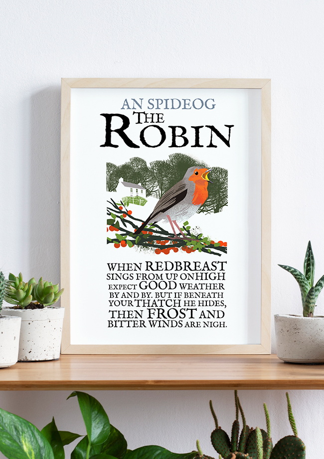 The Robin Bird - Birds of Ireland Framed