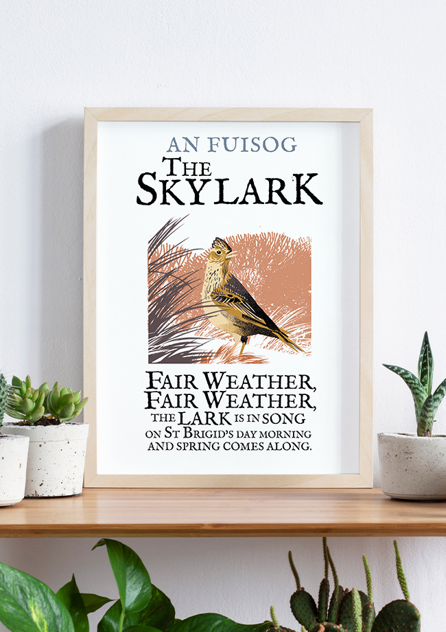 The Skylark Bird - Birds of Ireland Framed