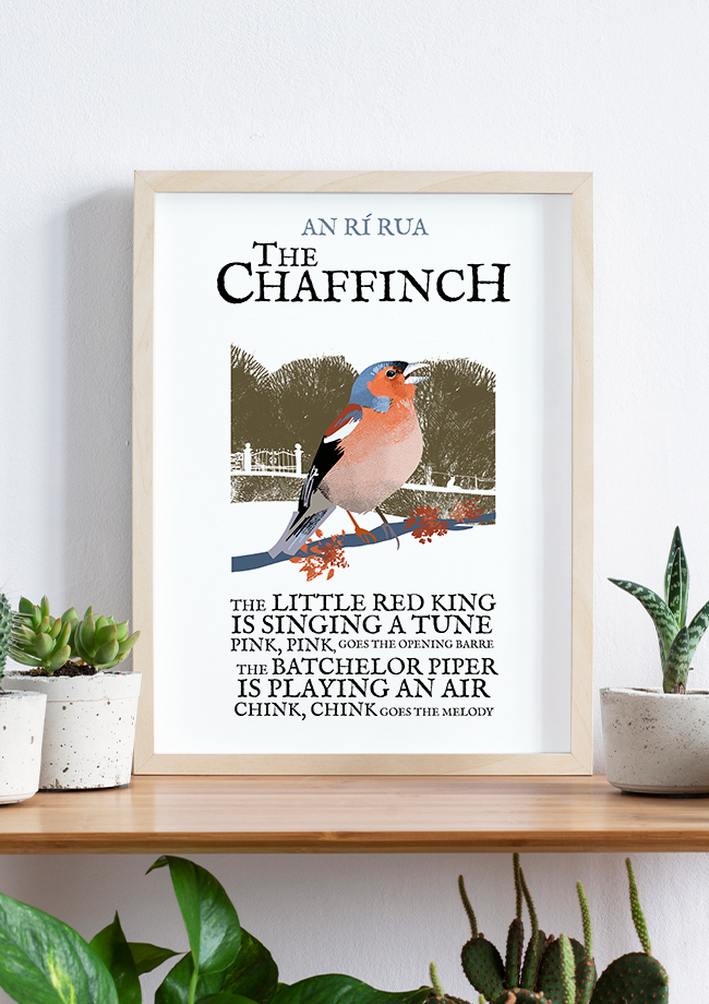 The Chaffinch Birds of Ireland Framed