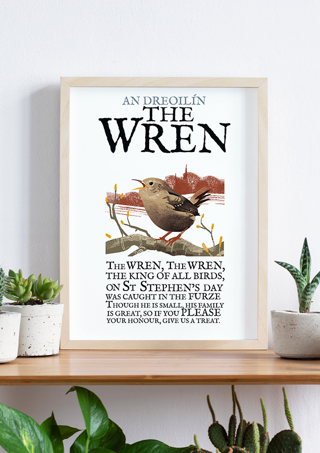 The Wren Bird - Birds of Ireland Framed