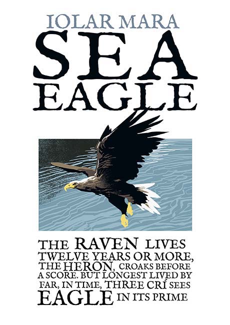 The Sea Eagle