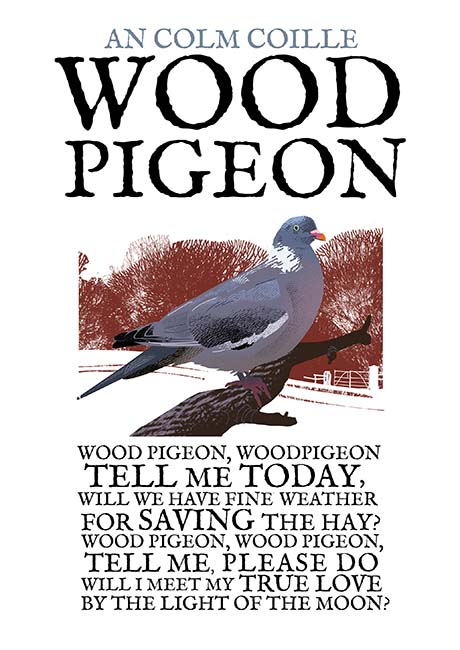 The Wood Pigeon